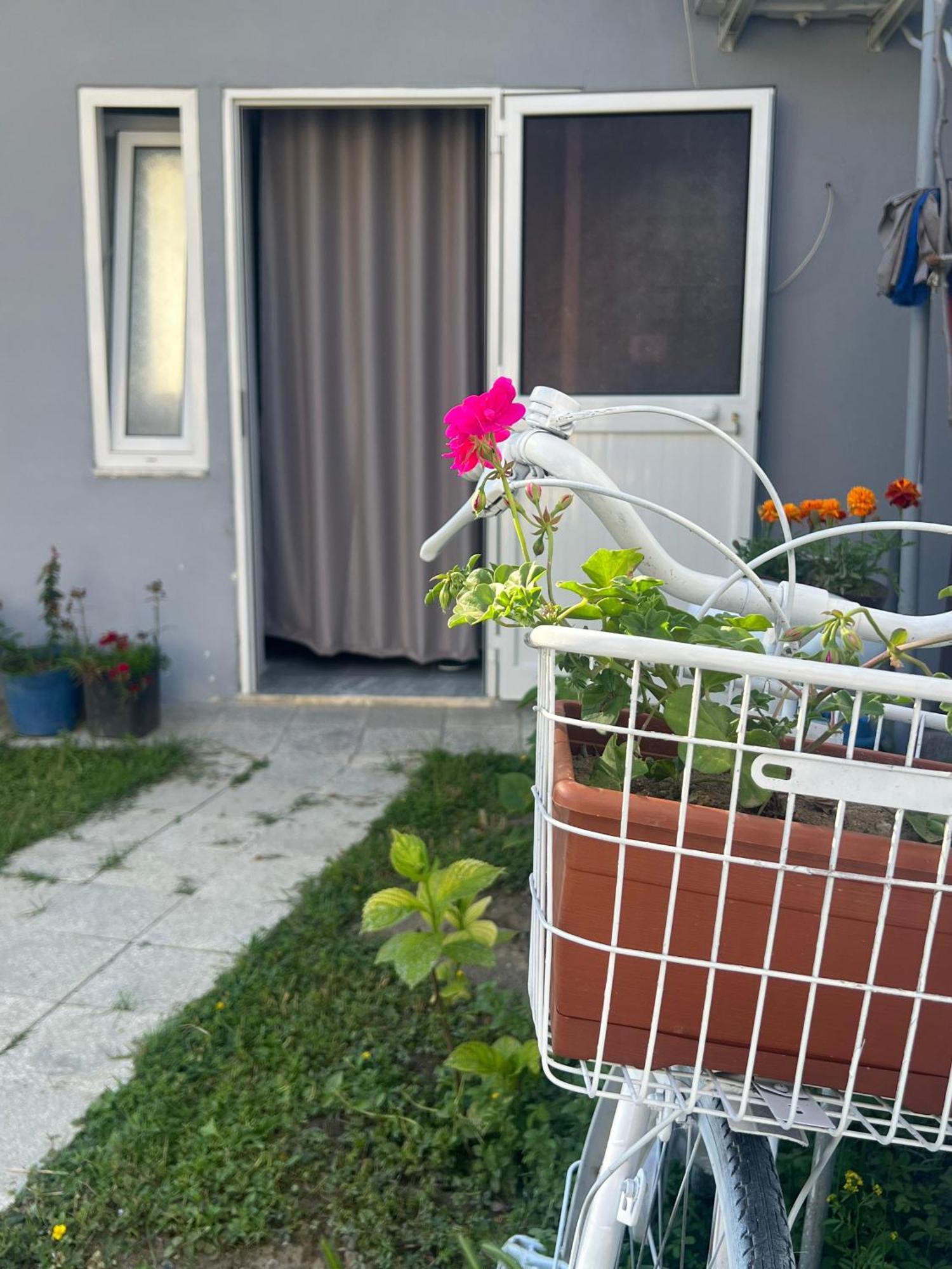 Happy Corner Guest House Shkoder Exterior photo